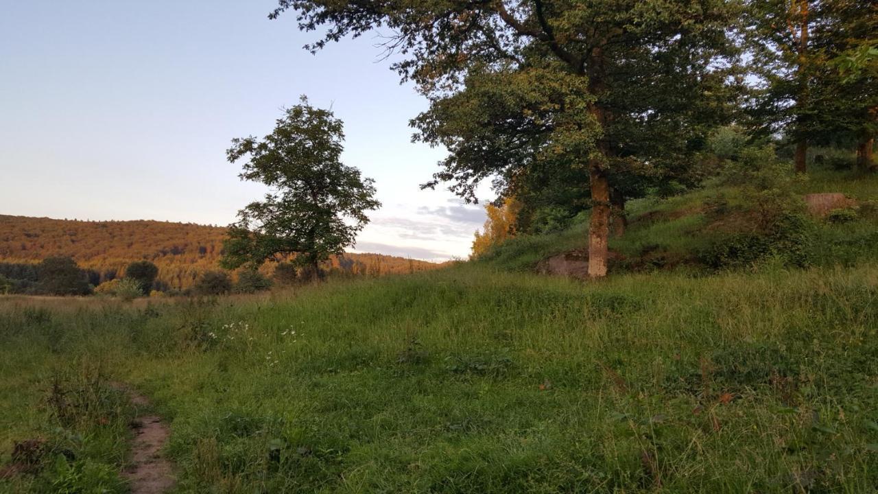 Ma Roulotte Sous Les Chenes- Au Naturel Raon-aux-Bois Eksteriør billede