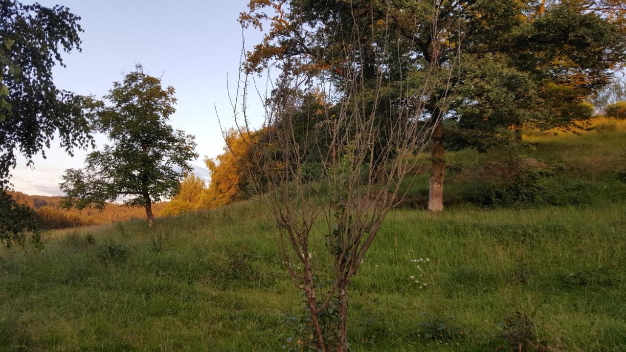 Ma Roulotte Sous Les Chenes- Au Naturel Raon-aux-Bois Eksteriør billede